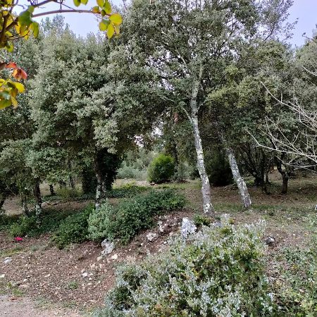 O'Fildl'Eau Gite Sillans-la Cascade Kültér fotó
