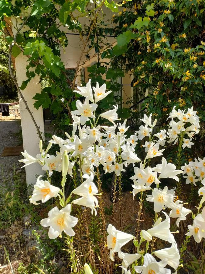 O'Fildl'Eau Gite Sillans-la Cascade Kültér fotó